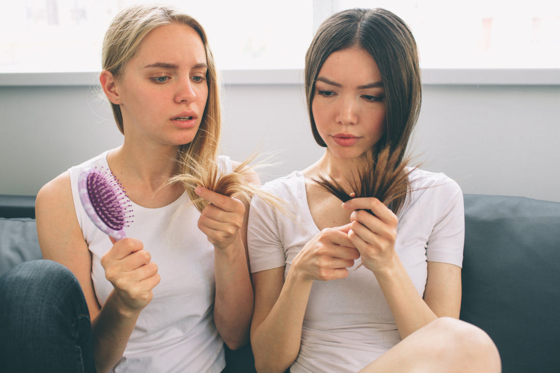Most Asked Hair Care Questions! Featured Image 00164